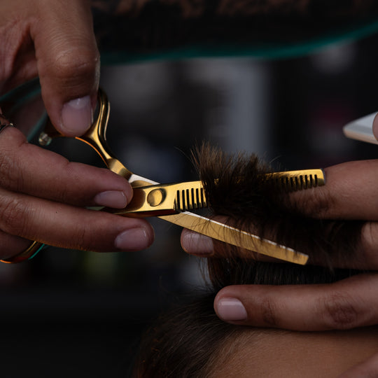 Rolda - Hair Cutting Scissors and Thinning Shears