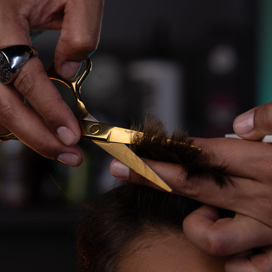 Rolda - Hair Cutting Scissors and Thinning Shears
