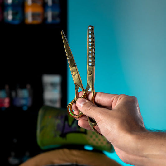 Rolda - Hair Cutting Scissors and Thinning Shears